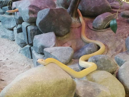 2020年明けましておめでとうございます。