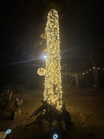 Our professional Christmas light installers know how to safely hang your lights