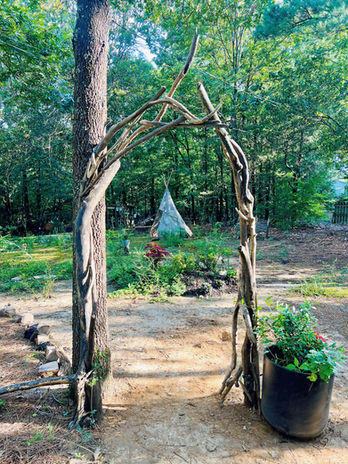 Beautiful driftwood arch for your garden