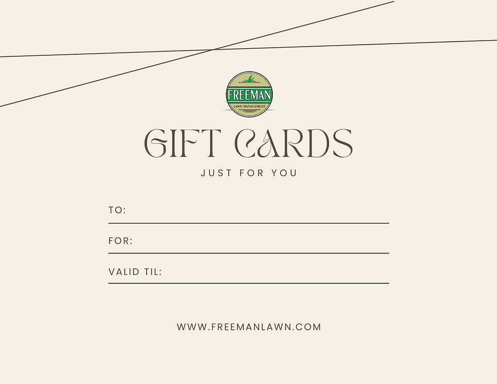 Give the perfect gift with Freeman Lawn gift cards—redeemable for lawn care, landscaping, seasonal décor, and more. Flexible,