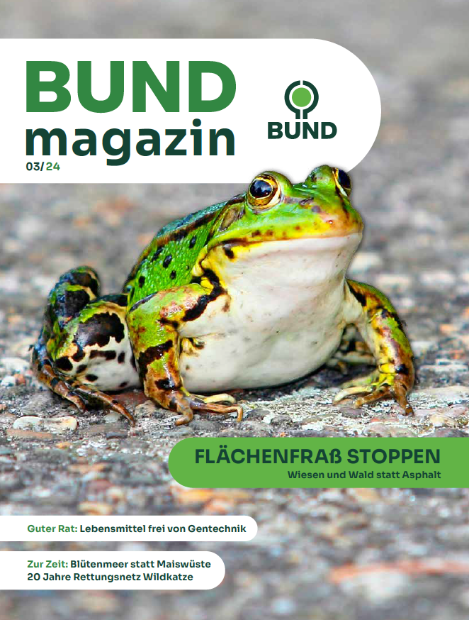 BUNDmagazin 03/24: Schutz des Frauenschuhs