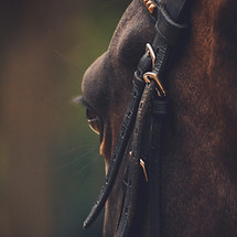 caroline-ziemkiewicz-9KgxAnq7eD0-unsplash.jpg