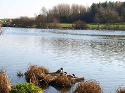 Sandy Water Park 2014