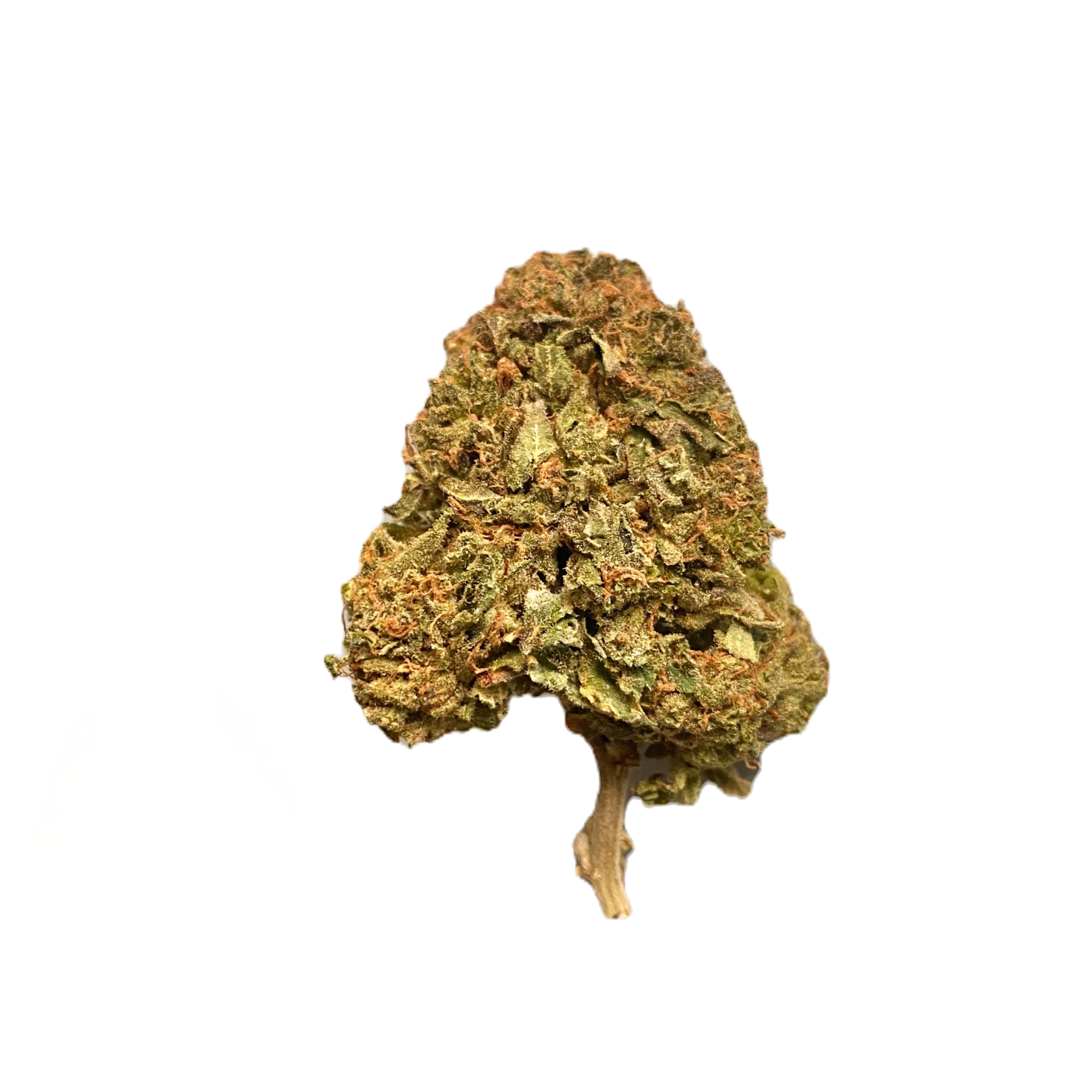 MK Ultra ($15.00 - $110.00)