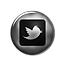new-twitter-bird-square