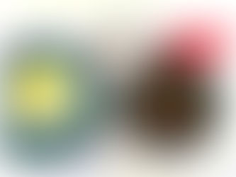 خورش قورمه سبزی - 2