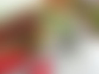 مقلوبه
