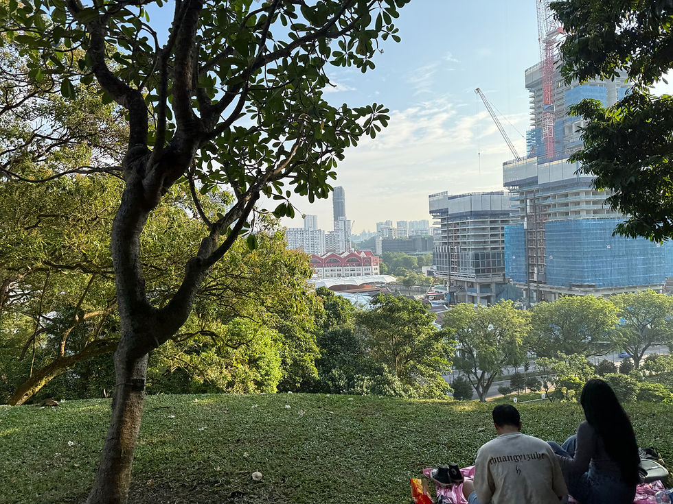 Concrete Paradise: Singapore is -and is not - a Global Exception