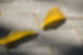 benefits-of-permeable-concrete-landscaping-1024x682.jpg