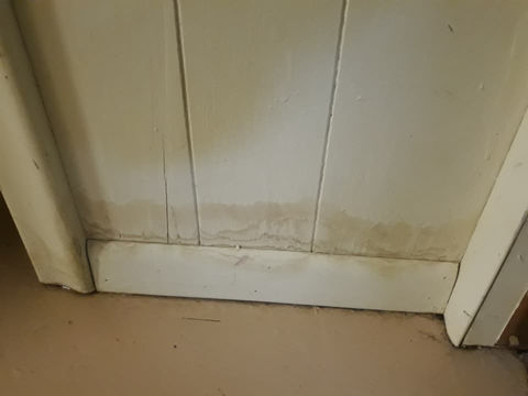 Water-Damage.jpeg