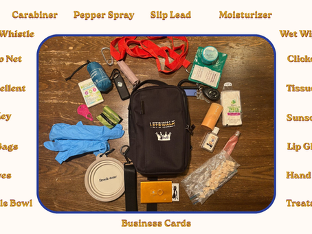 Dog walking bag and contents