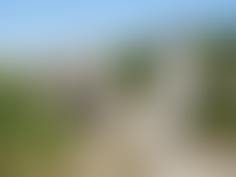 Riots on Ocean Island 1925