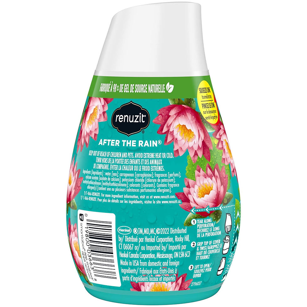 Renuzit After the Rain Air Freshener Gel 6-Pack – Adjustable scent cones with refreshing fragrance