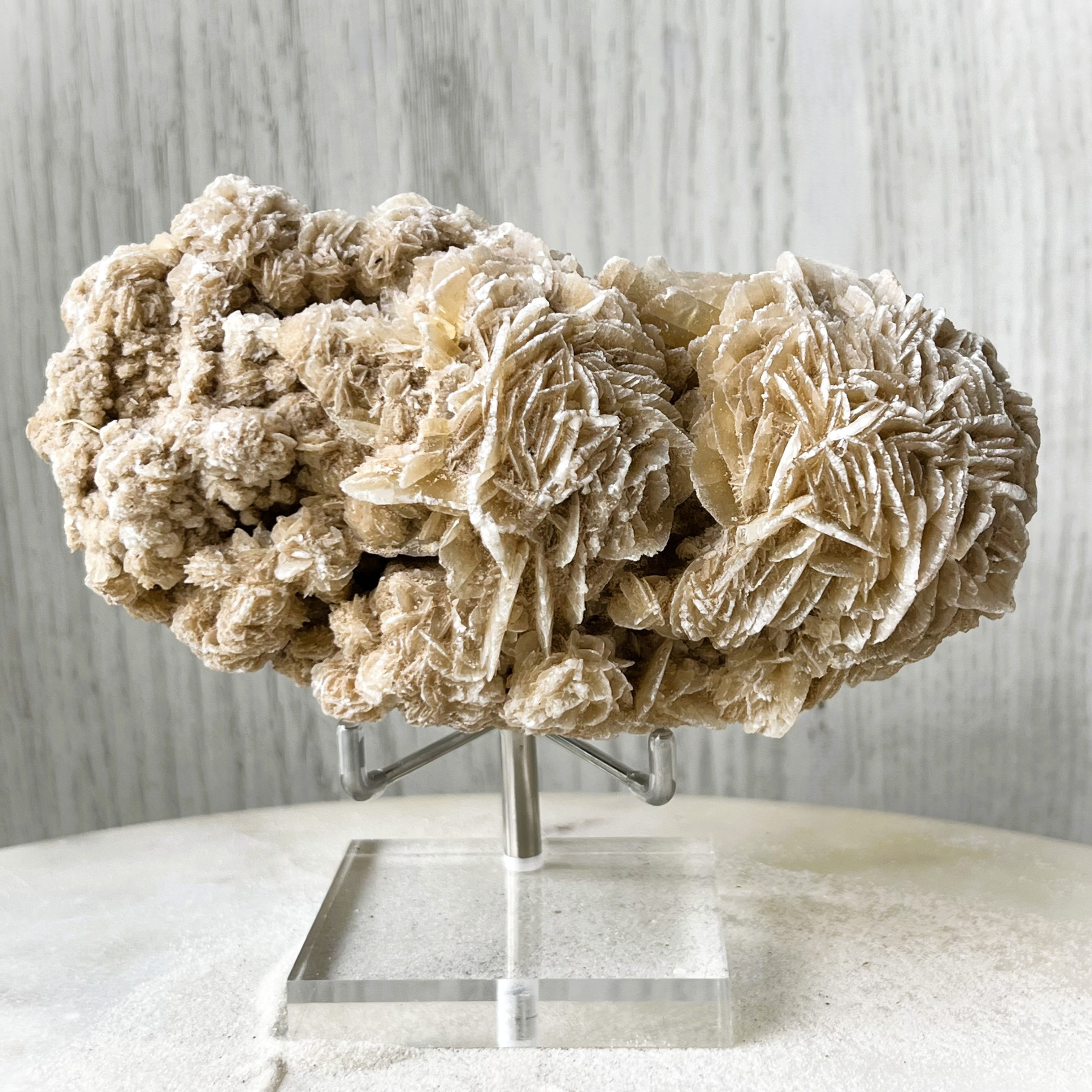 Large Desert Rose Specimen – Morocco