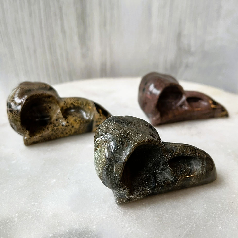 Thumbnail: Picture Jasper Raven Head