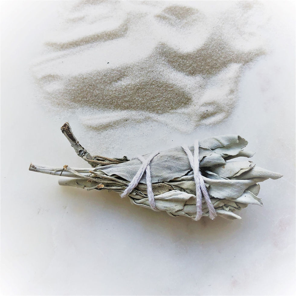Mini White Sage Bundle