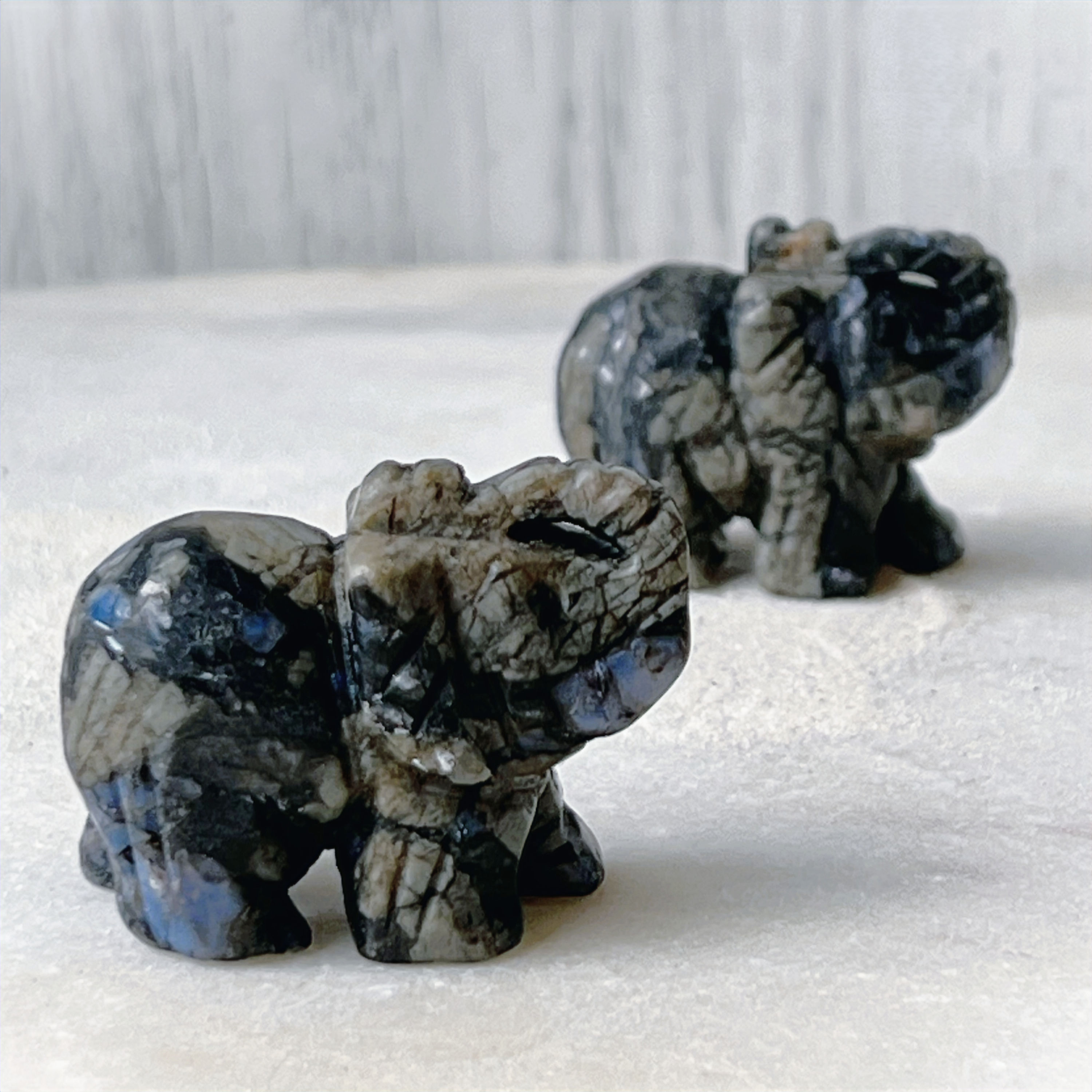 Small Que Sera Elephant