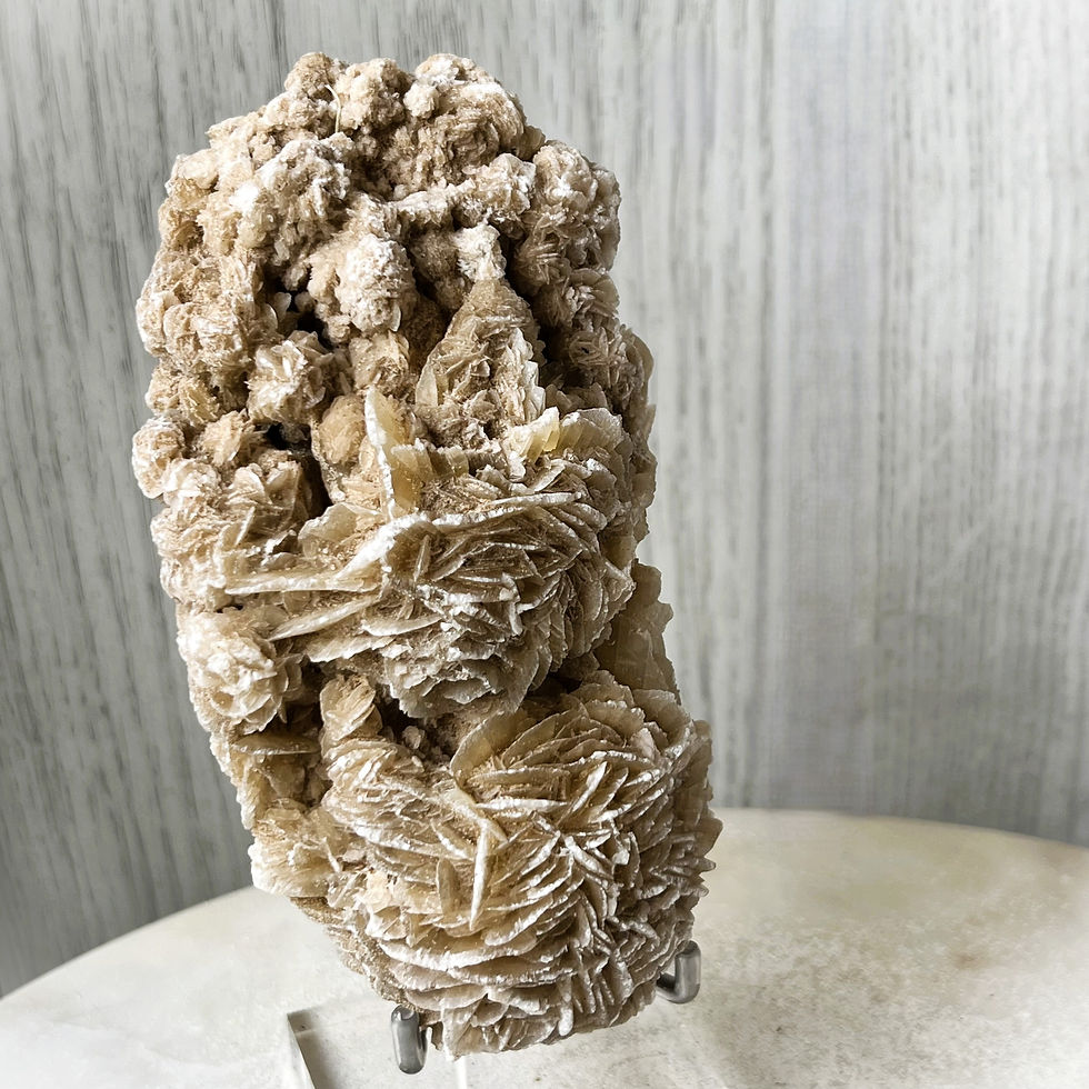 Thumbnail: Large Desert Rose Specimen – Morocco