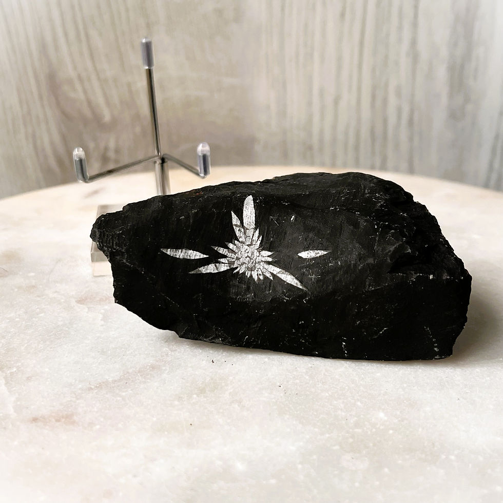 Thumbnail: Chrysanthemum Stone Specimen - Hunan, China