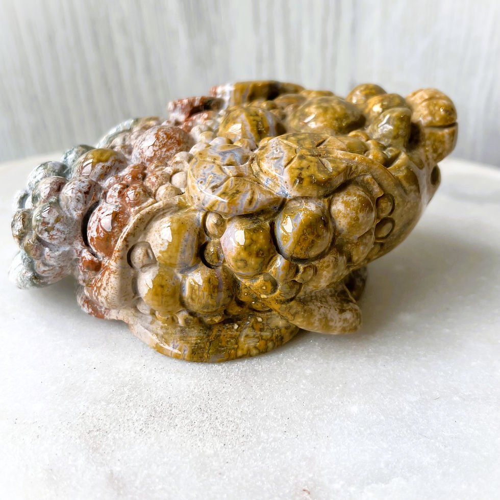 Thumbnail: Large Ocean Jasper Money Toad