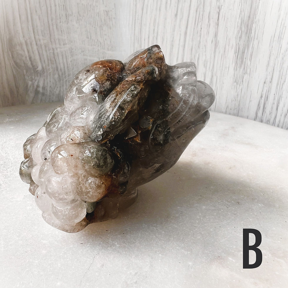 Thumbnail: Red Garden Quartz Money Toad
