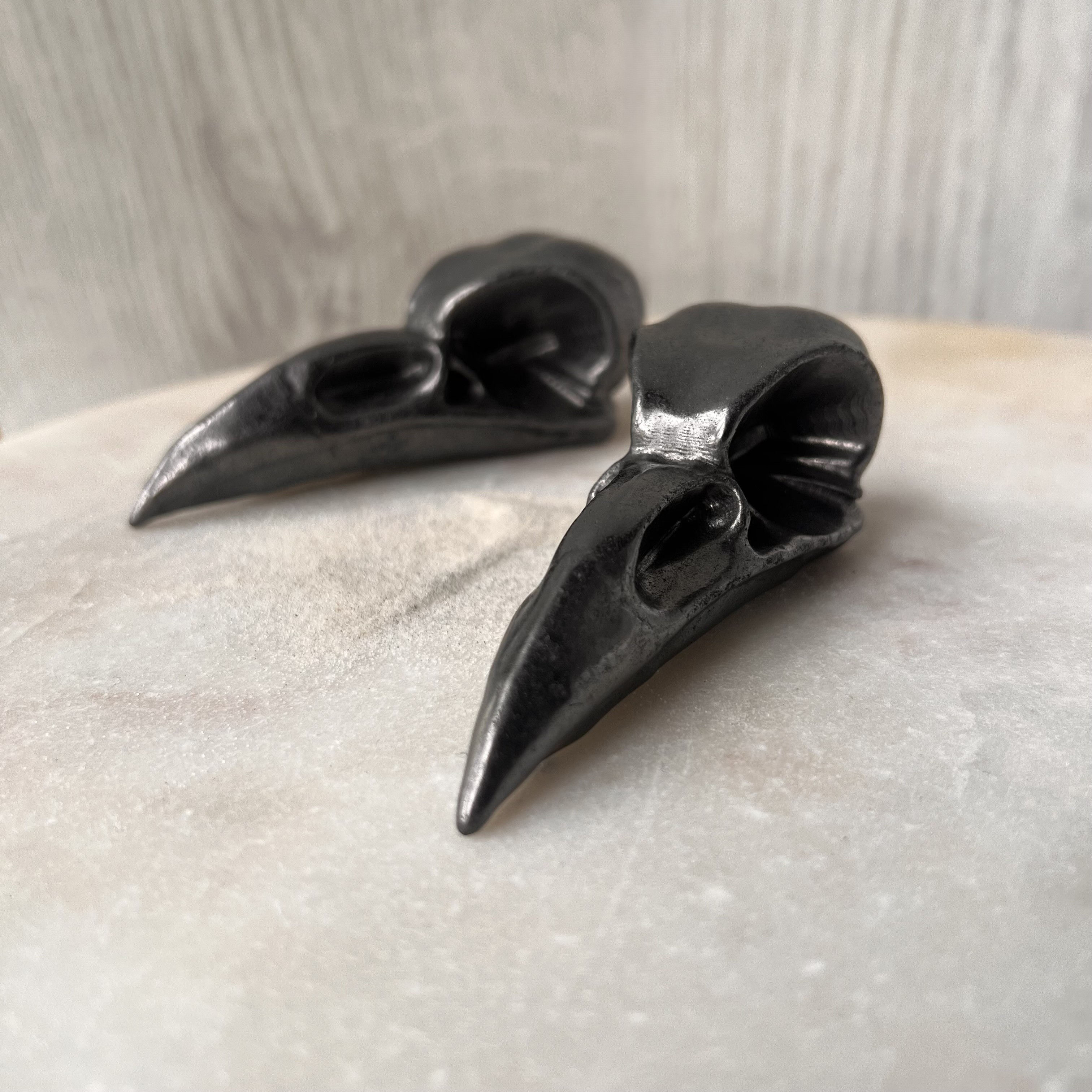 Shungite Raven Head