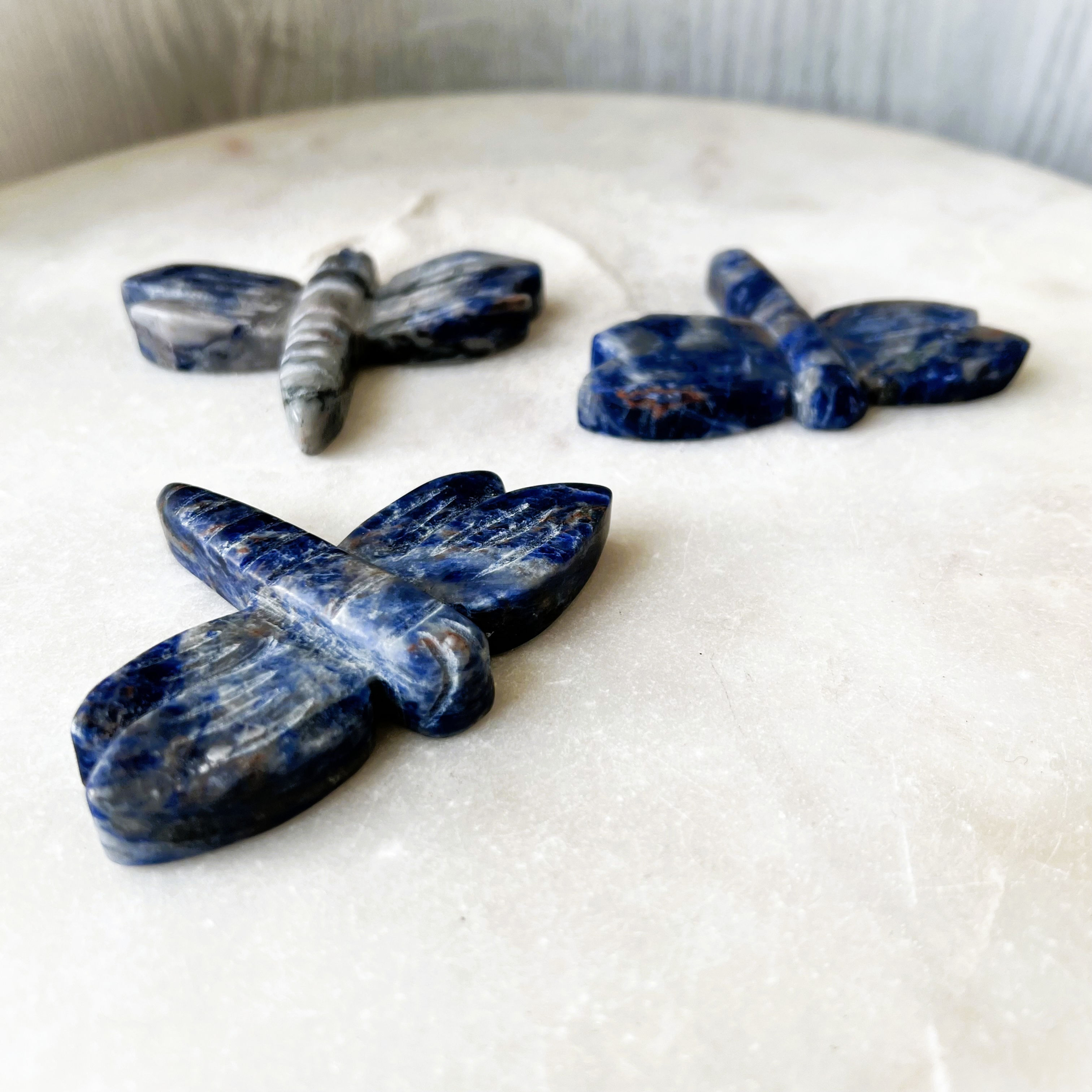Sodalite Dragonfly