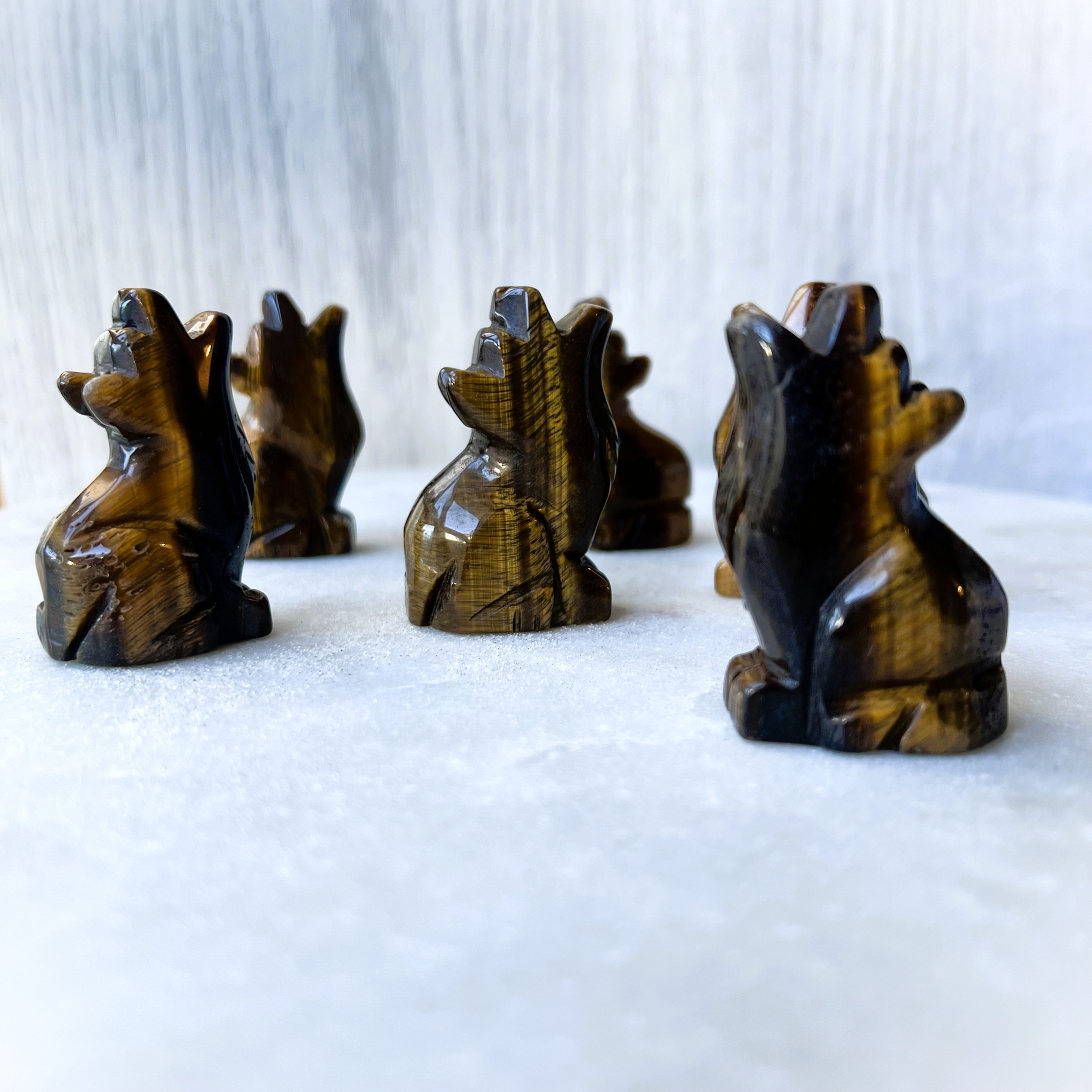 Tiger Eye Howling Wolf
