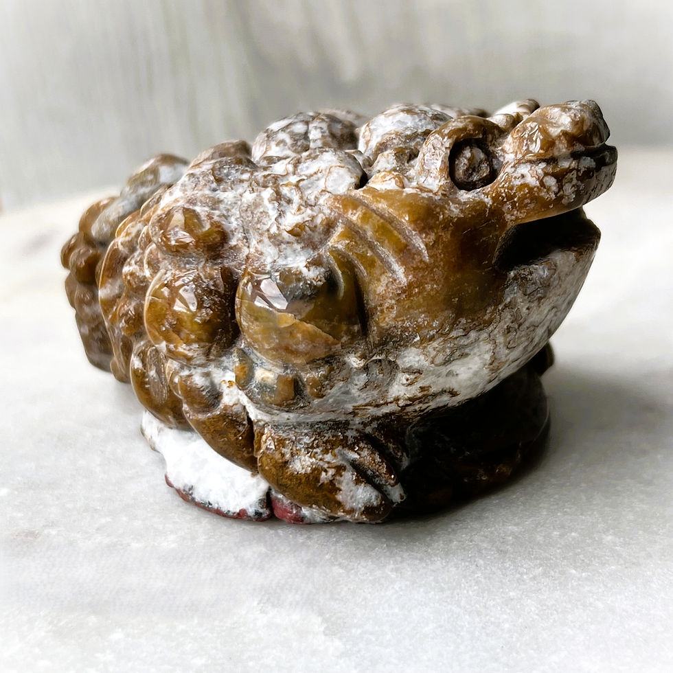 Thumbnail: Small Ocean Jasper Money Toad