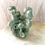Thumbnail: Jadeite Mushroom Tree