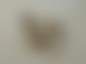 How Using Environmentally Friendly Cleaning Products Helps Our Health and Wellbeing