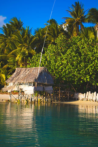 pexels-cruise-tiim-6268025.jpg