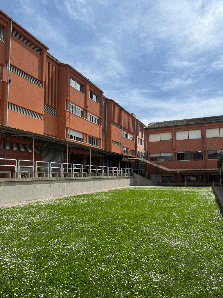 image005.gif