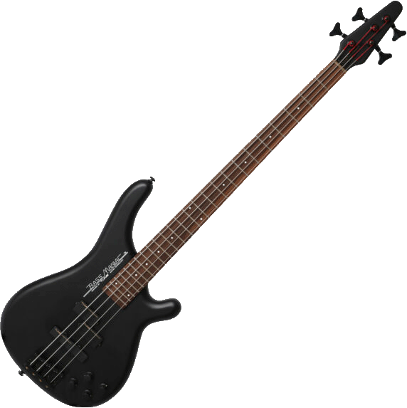 bassmaniac copie.gif
