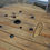 Thumbnail: Restored Spool Table