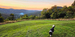 Experience the breathtaking coastal views from Talweg.