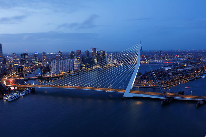 Erasmus brug in Rotterdam.jpeg