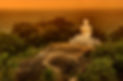 shutterstock_518752711-min.jpg