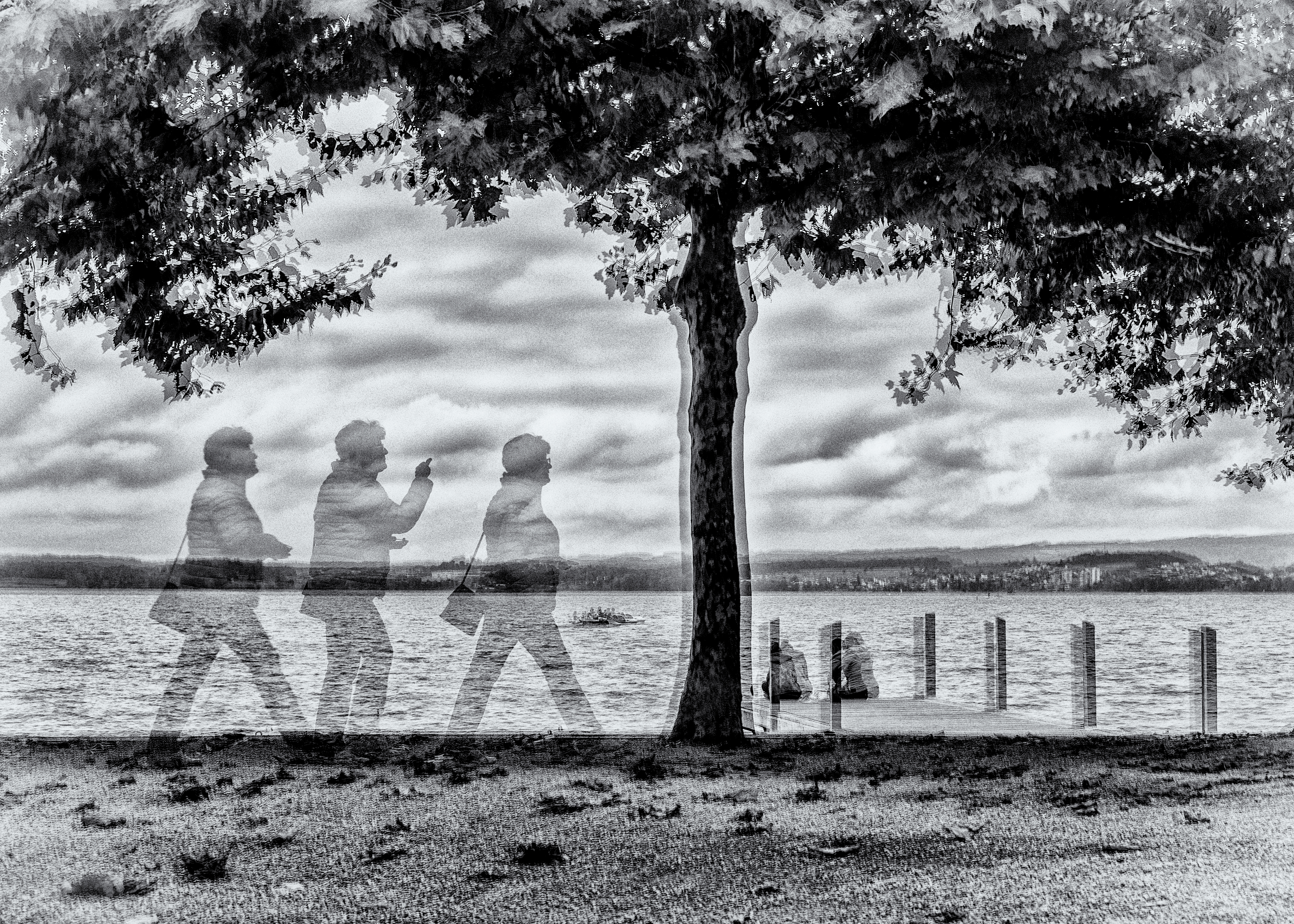Se(H)en Zug