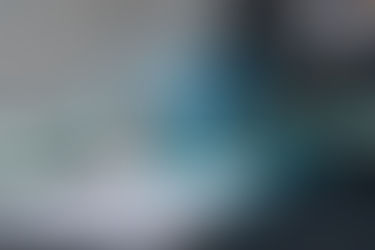 Maximizing Machine Learning Model Performance and Shelf-Life