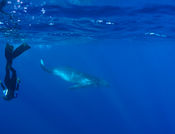 Photo 19.09.17, 07 39 33.jpg