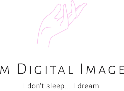 Web Designer - Dream Digital Images, LLC.