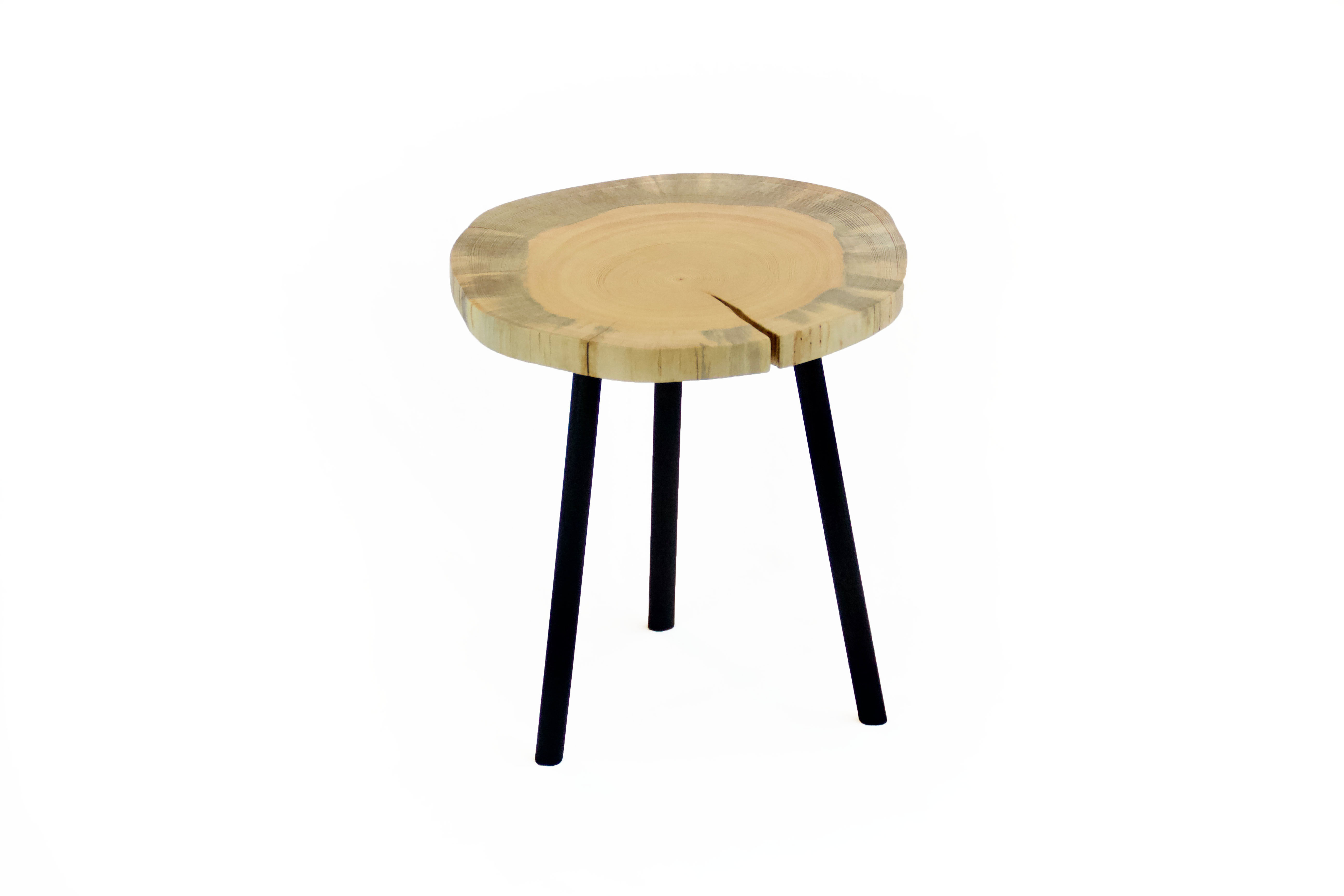 Bark Beetle Stand - 13"