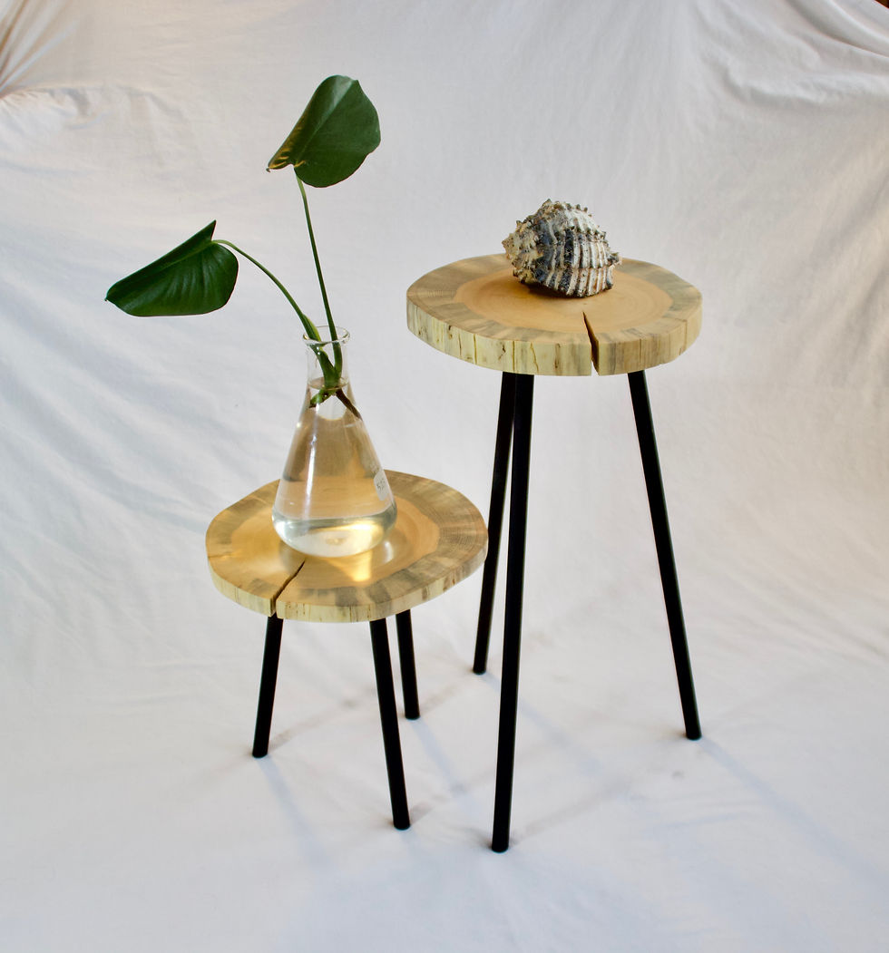 Thumbnail: Bark Beetle Stand - 13"