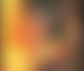 2006 (2020) X-Men T6 - La fin : Humains et X-Men