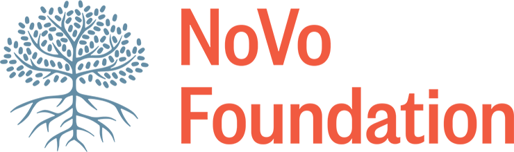 Novo Foundation.png