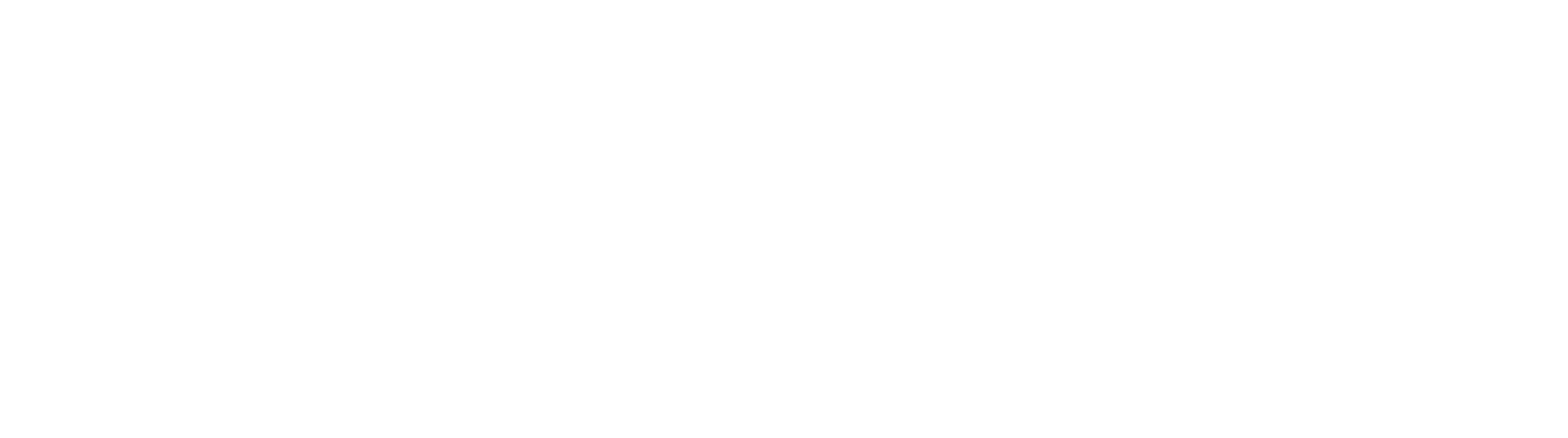 NY Council of the Arts.png