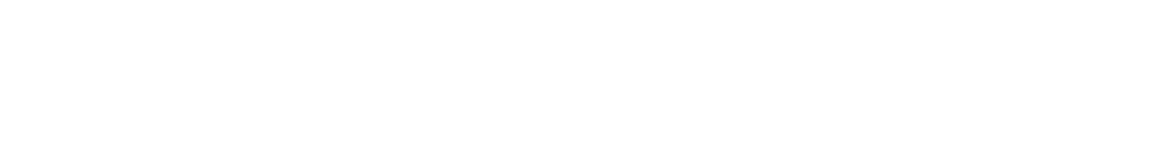 Logo Title 2 W.png