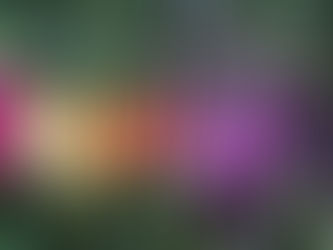 Finding Harmony Through Food