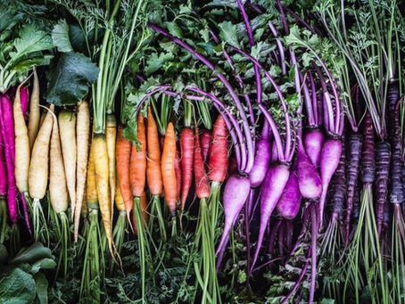 Finding Harmony Through Food